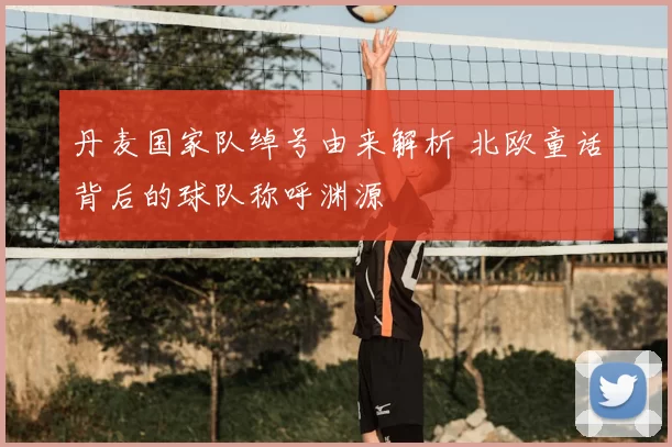 丹麦国家队绰号由来解析 北欧童话背后的球队称呼渊源