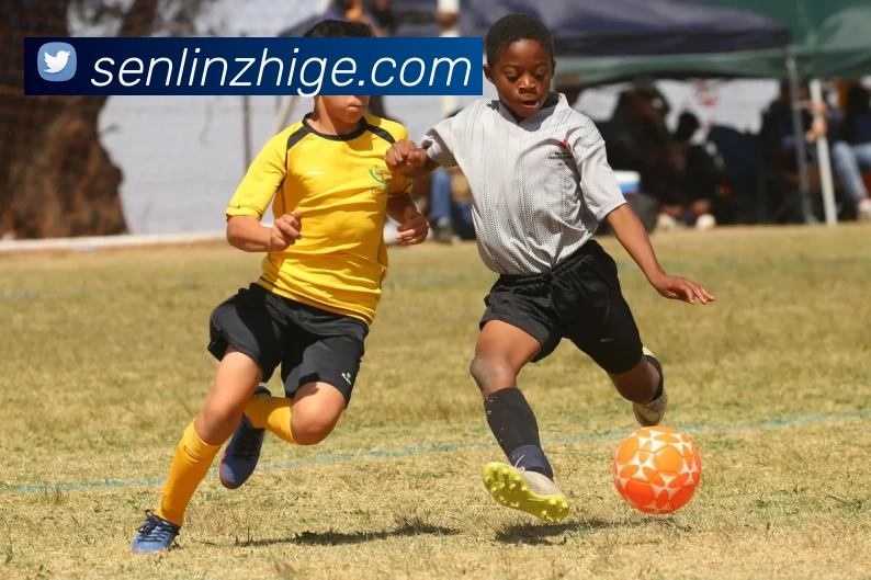 千亿体育在线(中国)官方网站平台生态图