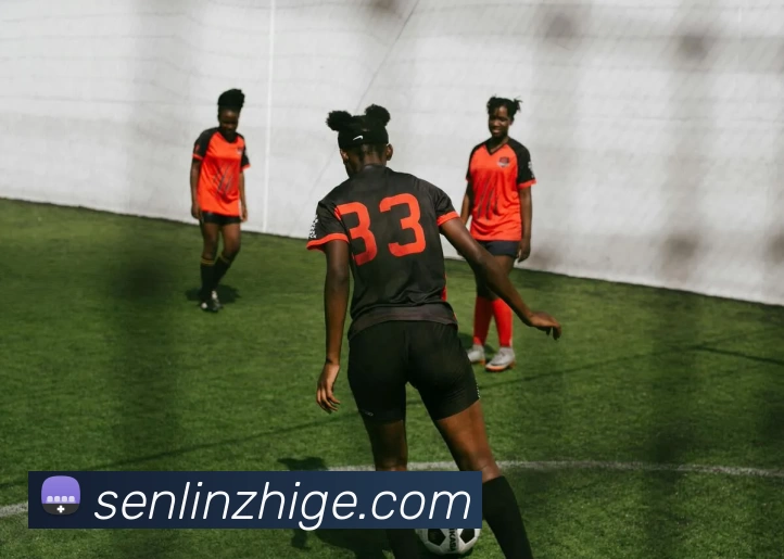 千亿体育在线(中国)官方网站APP 封面图