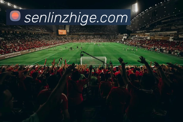 数据防护可视化